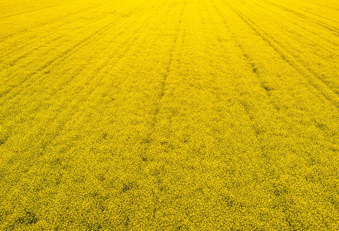 Aquisição de imóvel rural estrangeiro