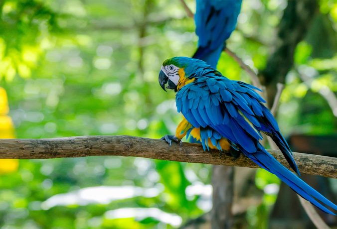 Pílulas de Infraestrutura | #2