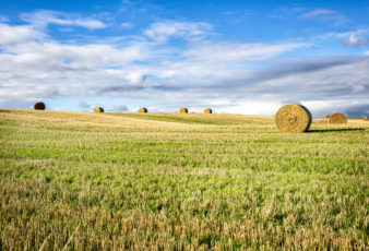 Senado aprova projeto que regulamenta a compra de propriedade rural por estrangeiros