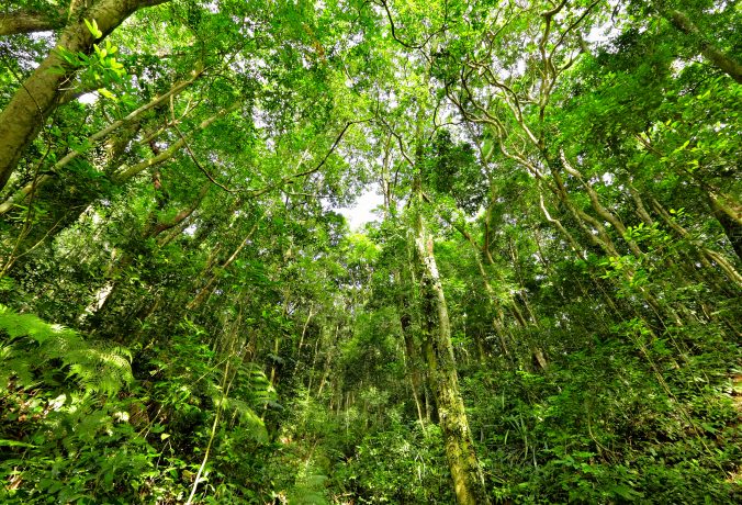 Pílulas de Infraestrutura #72