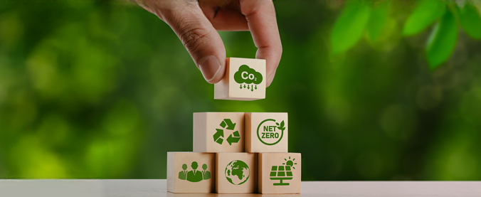 Brasil reforça protagonismo global no mercado de carbono com novas alianças e desafios regulatórios internos